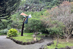 Jardín Botánico Canario Viera y Clavijo, Gran Canaria 63