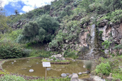 Jardín Botánico Canario Viera y Clavijo, Gran Canaria 72