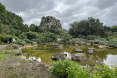 Jardín Botánico Canario Viera y Clavijo, Gran Canaria 74