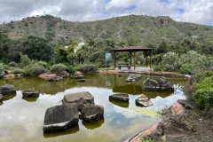 Jardín Botánico Canario Viera y Clavijo, Gran Canaria 75