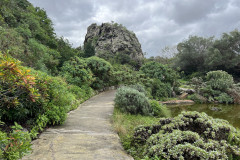 Jardín Botánico Canario Viera y Clavijo, Gran Canaria 76