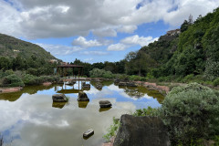 Jardín Botánico Canario Viera y Clavijo, Gran Canaria 77