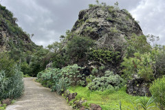 Jardín Botánico Canario Viera y Clavijo, Gran Canaria 79