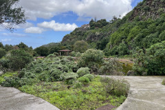 Jardín Botánico Canario Viera y Clavijo, Gran Canaria 80