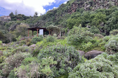 Jardín Botánico Canario Viera y Clavijo, Gran Canaria 81