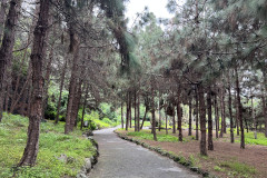 Jardín Botánico Canario Viera y Clavijo, Gran Canaria 97