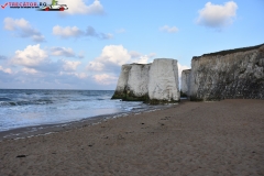 Botany Bay Beach Anglia 011