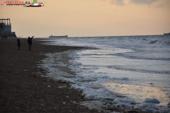 Botany Bay Beach Anglia 014