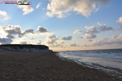 Botany Bay Beach Anglia 015