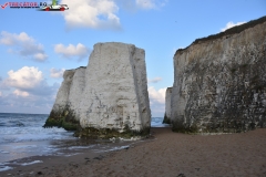 Botany Bay Beach Anglia 018