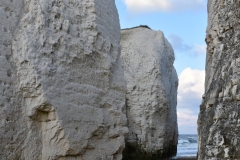 Botany Bay Beach Anglia 019