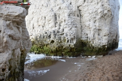 Botany Bay Beach Anglia 020