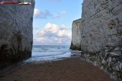 Botany Bay Beach Anglia 022