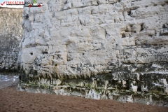 Botany Bay Beach Anglia 024