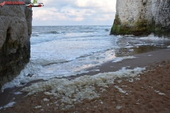 Botany Bay Beach Anglia 026