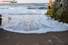 Botany Bay Beach Anglia 030