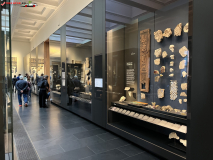 British Museum Londra septembrie 2024 157