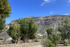 Cactualdea Park, Gran Canaria 10