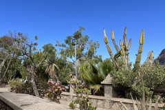 Cactualdea Park, Gran Canaria 13