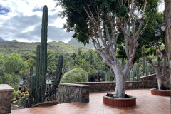 Cactualdea Park, Gran Canaria 42