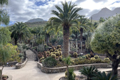 Cactualdea Park, Gran Canaria 44