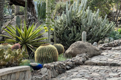 Cactualdea Park, Gran Canaria 47