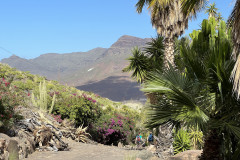 Cactualdea Park, Gran Canaria 50