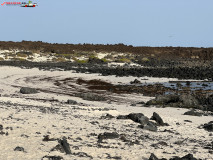 Caleta del Mojón Blanco, Lanzarote 03