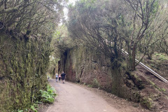 Camino Viejo al Pico del Inglés, Tenerife 75