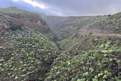 Canionul Barranco de las Vacas, Gran Canaria 03