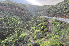 Canionul Barranco de las Vacas, Gran Canaria 06