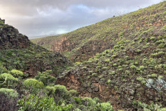 Canionul Barranco de las Vacas, Gran Canaria 20