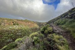 Canionul Barranco de las Vacas, Gran Canaria 21