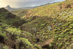 Canionul Barranco de las Vacas, Gran Canaria 22