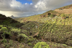 Canionul Barranco de las Vacas, Gran Canaria 23