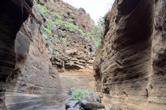 Canionul Barranco de las Vacas, Gran Canaria 46