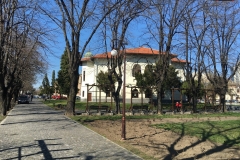 Casa Baniei Craiova 49