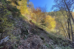 Cascada Buciaș 15