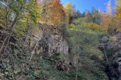 Cascada Buciaș 43