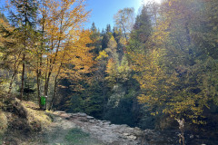 Cascada Buciaș 51
