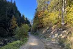 Cascada Buciaș 59