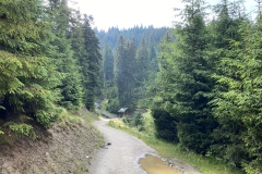 Cascada Cailor, Borșa  19