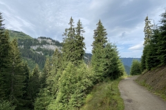 Cascada Cailor, Borșa  21