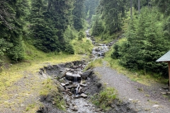 Cascada Cailor, Borșa  22