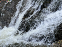 Cascada Cornet 05