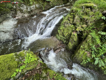 Cascada Cornet 06