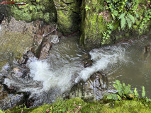 Cascada Cornet 07