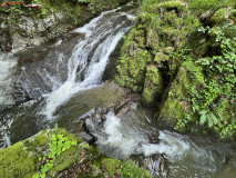 Cascada Cornet 08