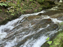 Cascada Cornet 10