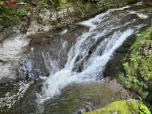 Cascada Cornet 12